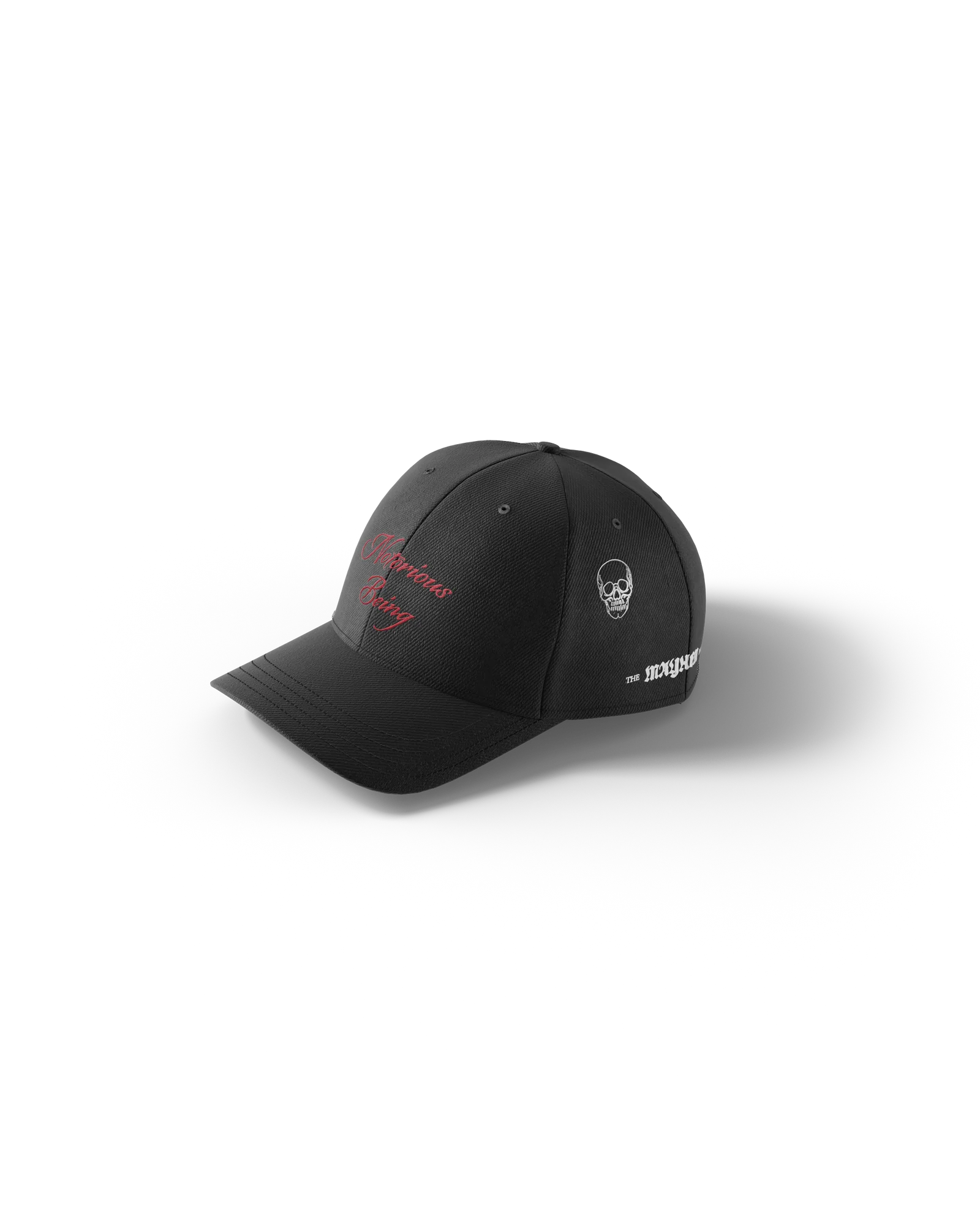 【本人着】Lady Gaga Notorious Being HAT Notorious Being Cap - Lady Gaga